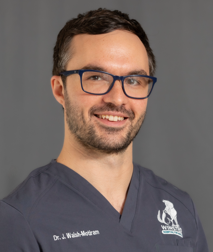 Josef Walsh-Motiram, DVM