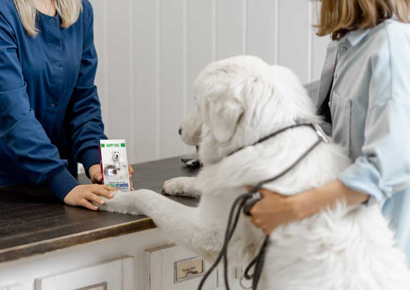 Carousel Slide 2: Order your pet's medications or food online!